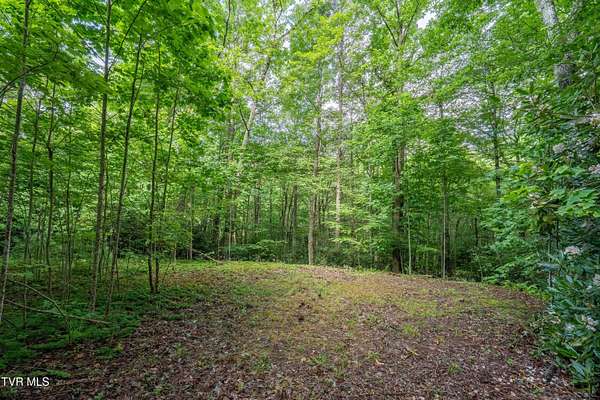 8 Acres of Residential Land for Sale in Mountain City, Tennessee