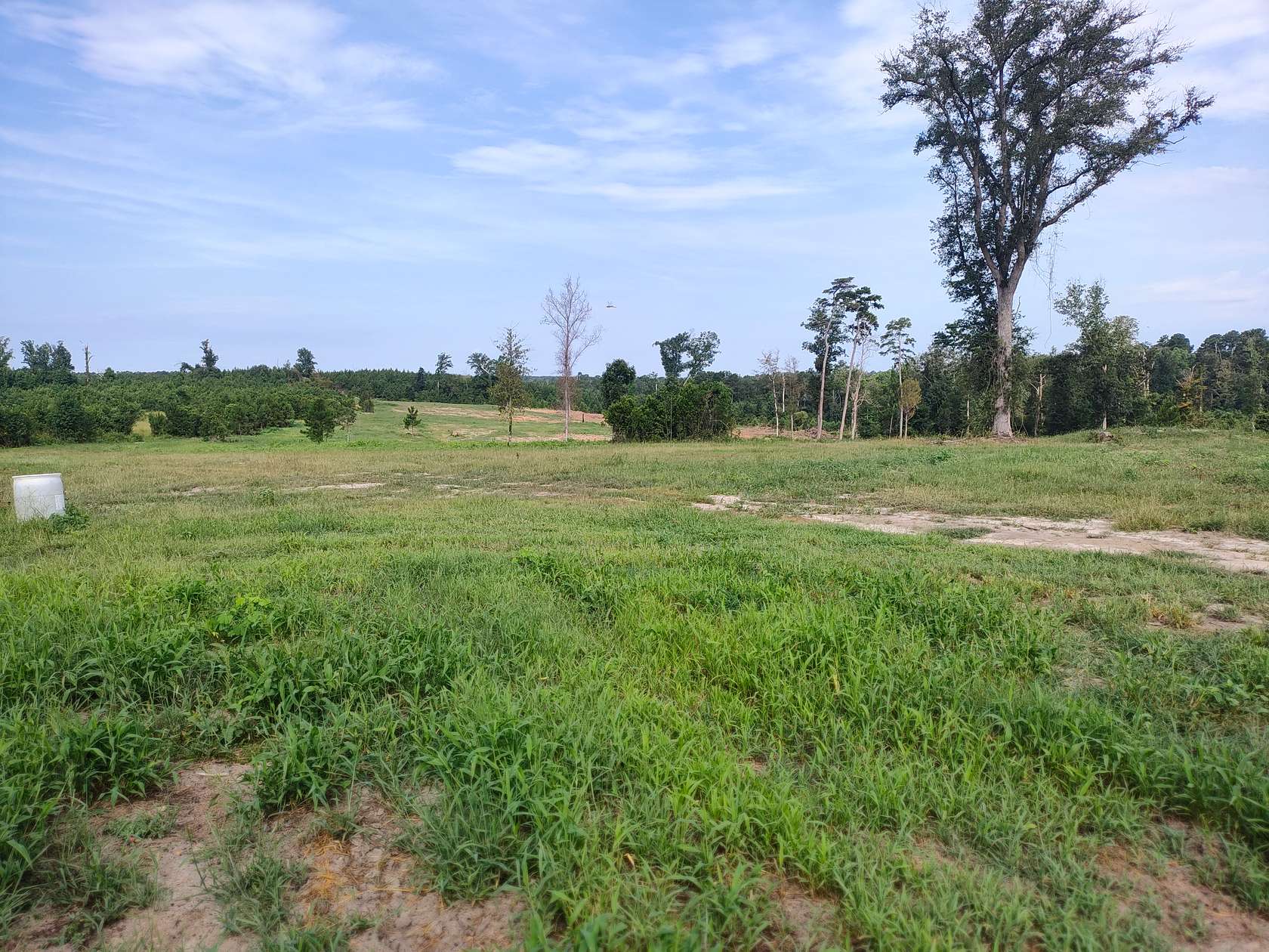 60 Acres of Recreational Land for Sale in Attapulgus, Georgia