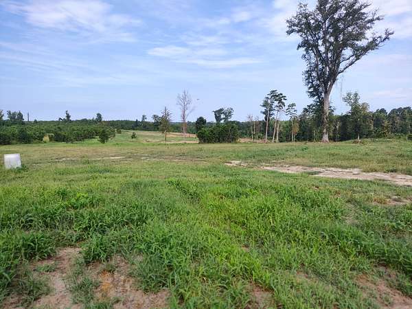 60 Acres of Recreational Land for Sale in Attapulgus, Georgia