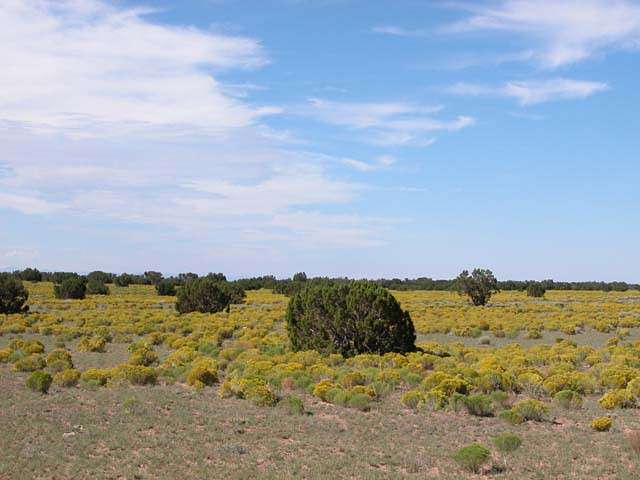 4.6 Acres of Land for Sale in Chambers, Arizona