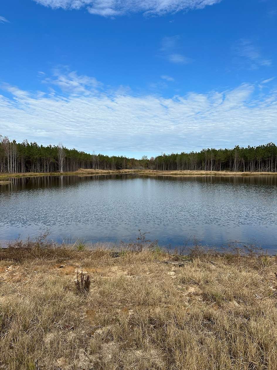 13.2 Acres of Recreational Land for Sale in Shubuta, Mississippi