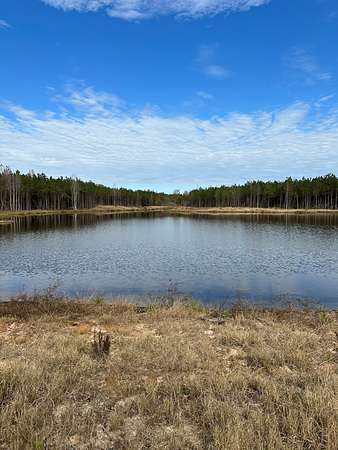 13.2 Acres of Recreational Land for Sale in Shubuta, Mississippi