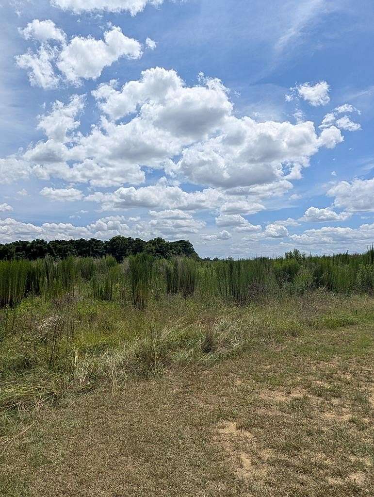 53 Acres of Agricultural Land for Sale in Headland, Alabama