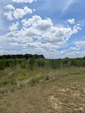 53 Acres of Agricultural Land for Sale in Headland, Alabama
