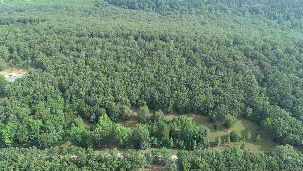 40 Acres of Recreational Land for Sale in Plumerville, Arkansas