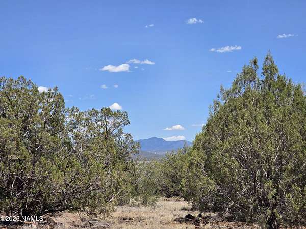 1.9 Acres of Land for Sale in Williams, Arizona
