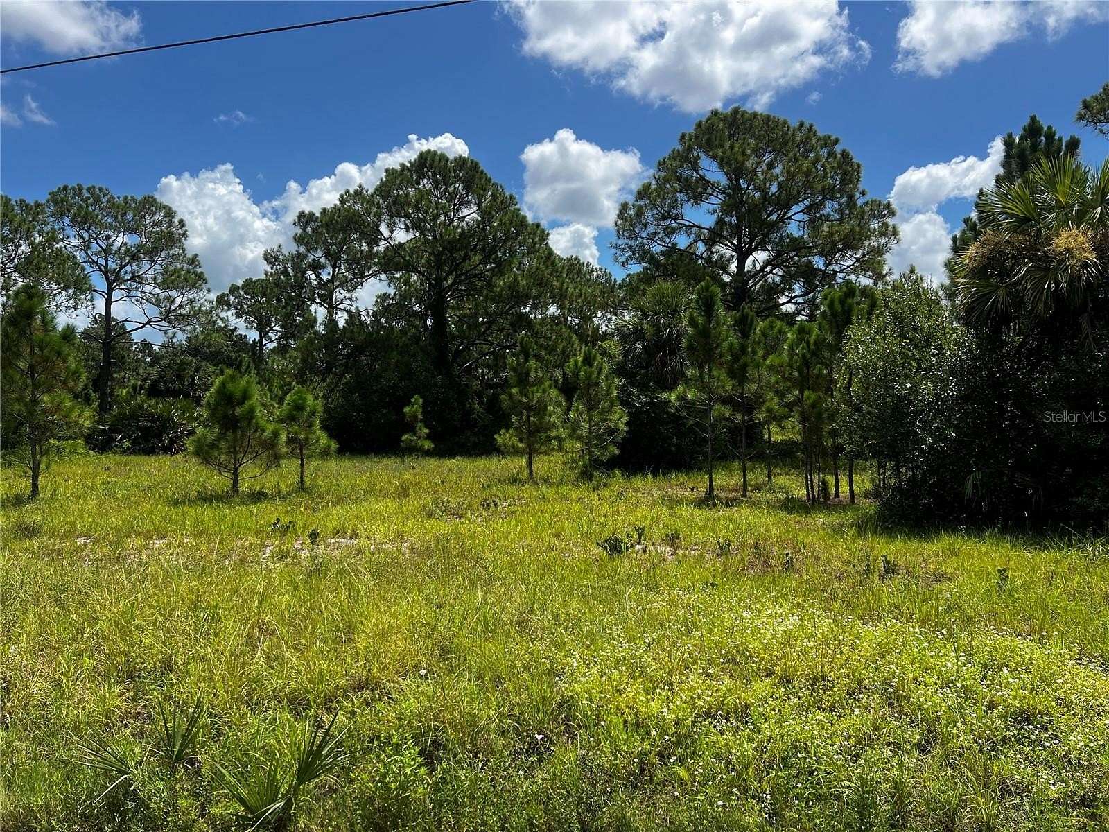 1.25 Acres of Residential Land for Sale in Clewiston, Florida
