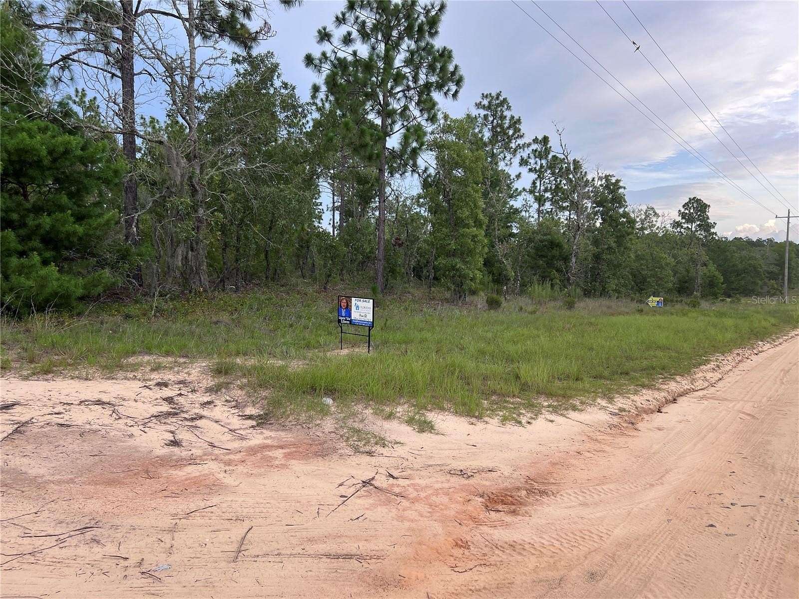 0.58 Acres of Residential Land for Sale in Hawthorne, Florida