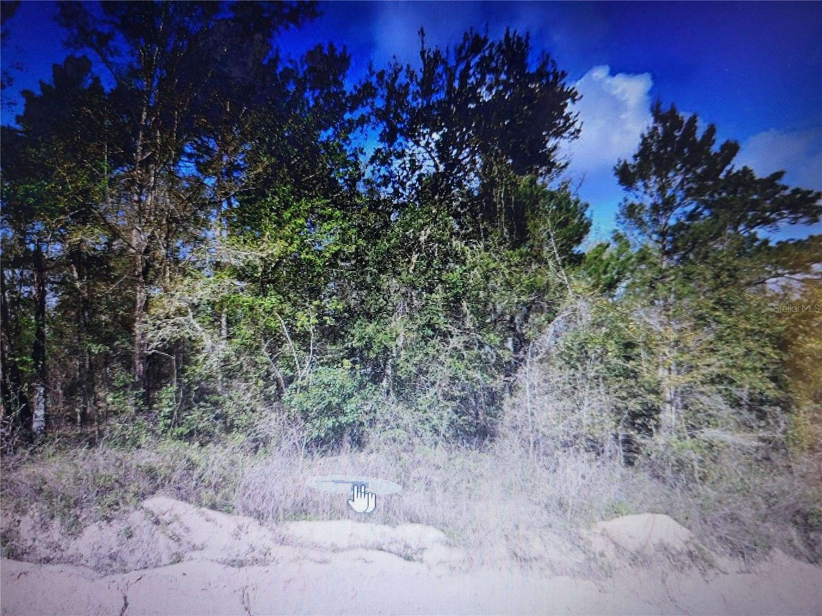 0.34 Acres of Land for Sale in Interlachen, Florida