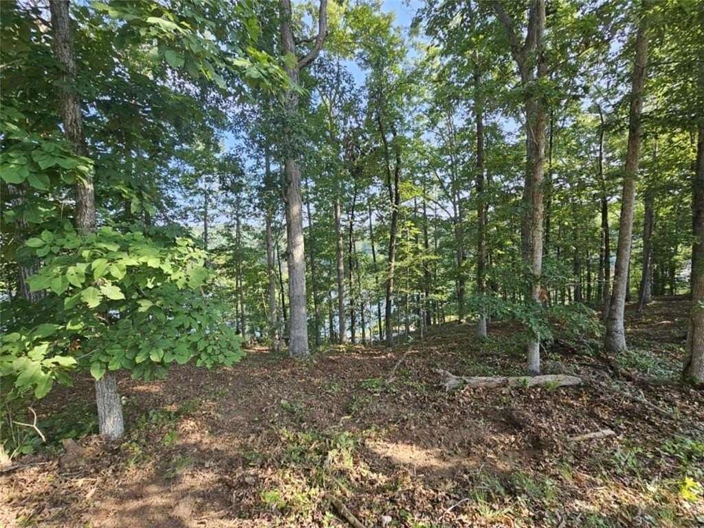 0.39 Acres of Residential Land for Sale in Toccoa, Georgia