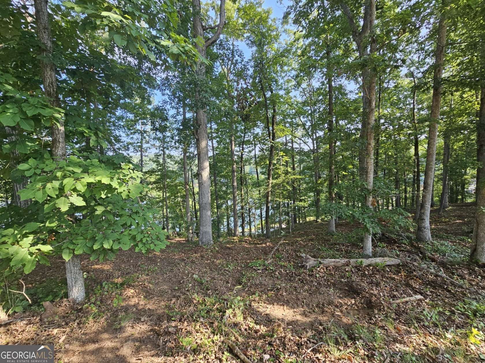 0.39 Acres of Residential Land for Sale in Toccoa, Georgia