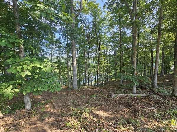 0.39 Acres of Residential Land for Sale in Toccoa, Georgia