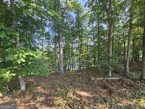 0.39 Acres of Residential Land for Sale in Toccoa, Georgia