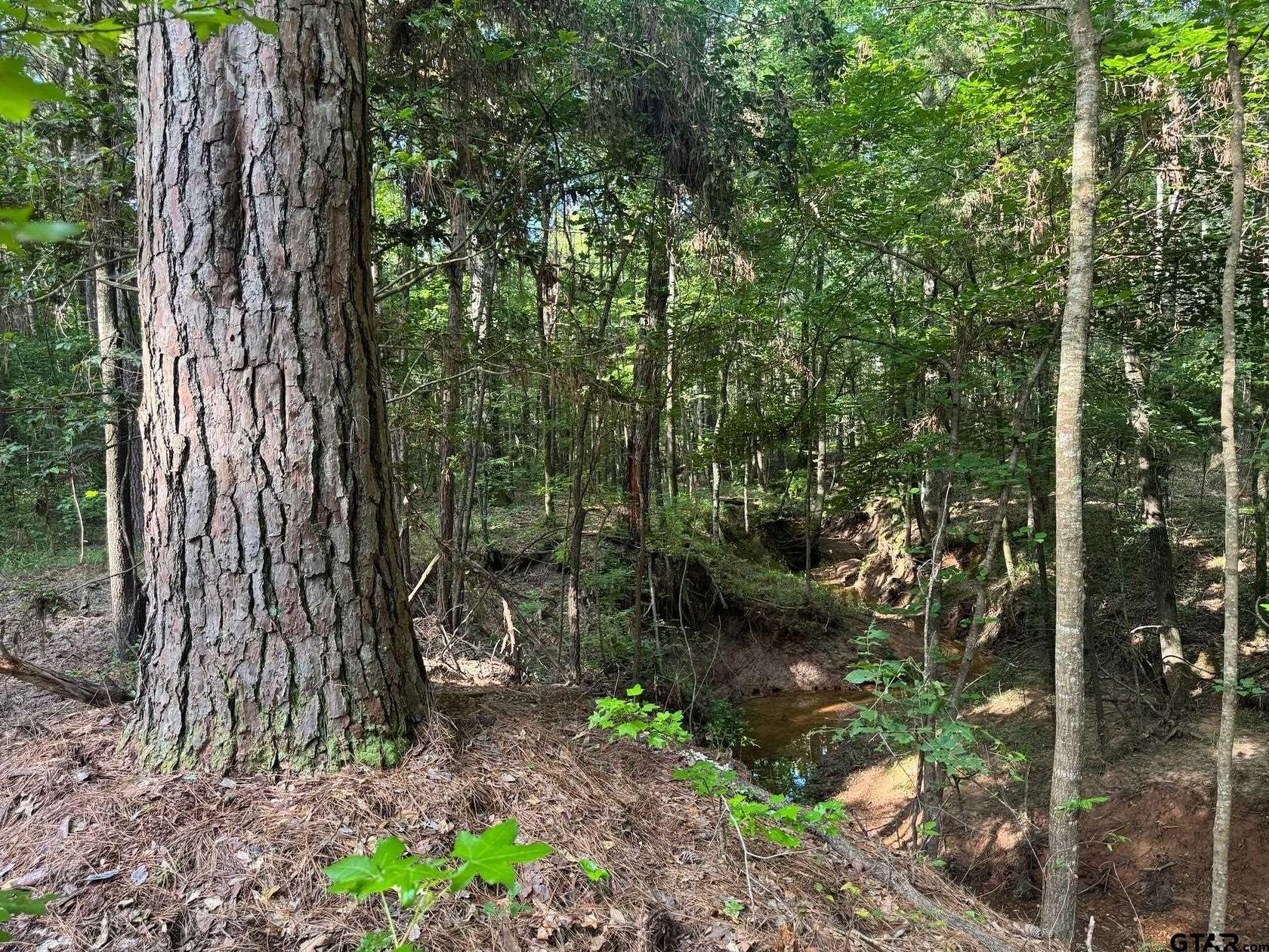 5 Acres of Land for Sale in Rusk, Texas