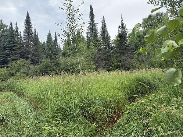 160 Acres of Recreational Land for Sale in Alborn, Minnesota