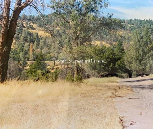 7.69 Acres of Land for Sale in Manton, California