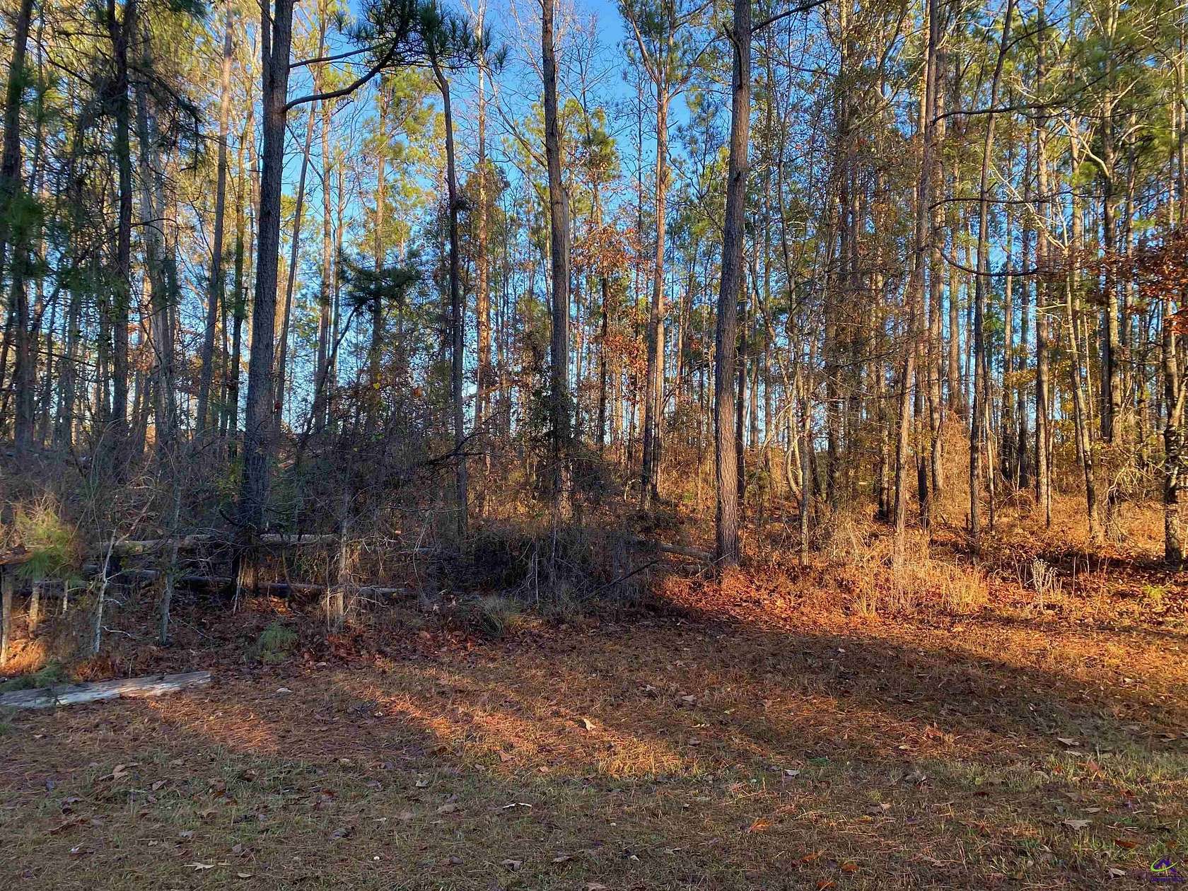 1.5 Acres of Residential Land for Sale in Butler, Georgia