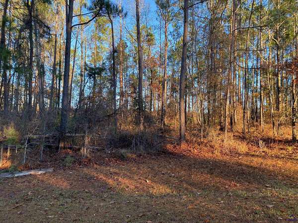 1.5 Acres of Residential Land for Sale in Butler, Georgia