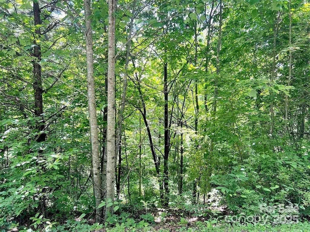 1 Acre of Residential Land for Sale in Sylva, North Carolina