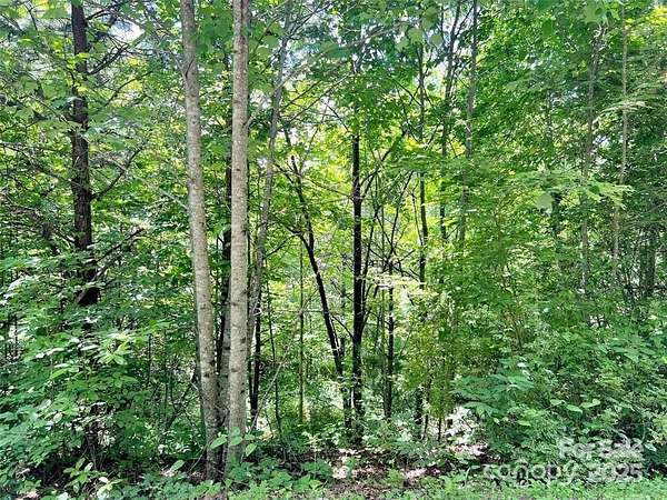 1 Acre of Residential Land for Sale in Sylva, North Carolina