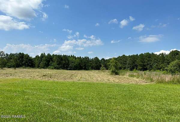 5 Acres of Commercial Land for Sale in Basile, Louisiana