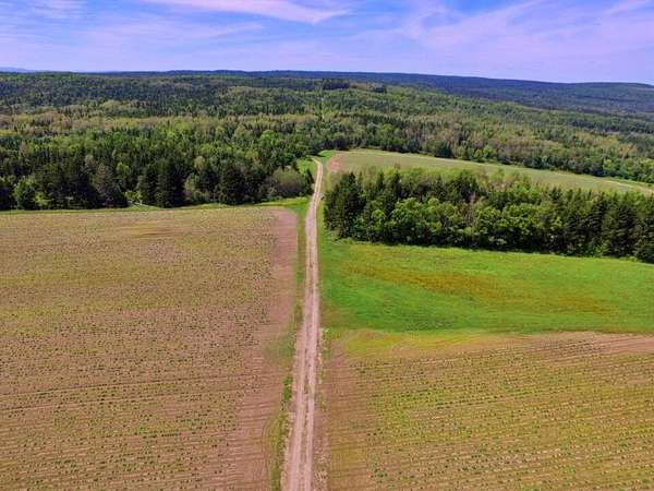 325 Acres of Recreational Land & Farm for Sale in Cyr Plantation, Maine
