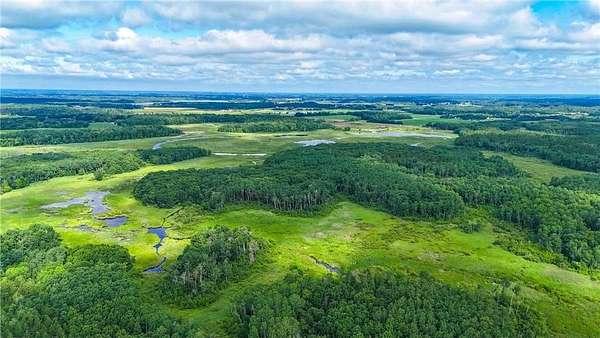 80 Acres of Recreational Land & Farm for Sale in Staples, Minnesota