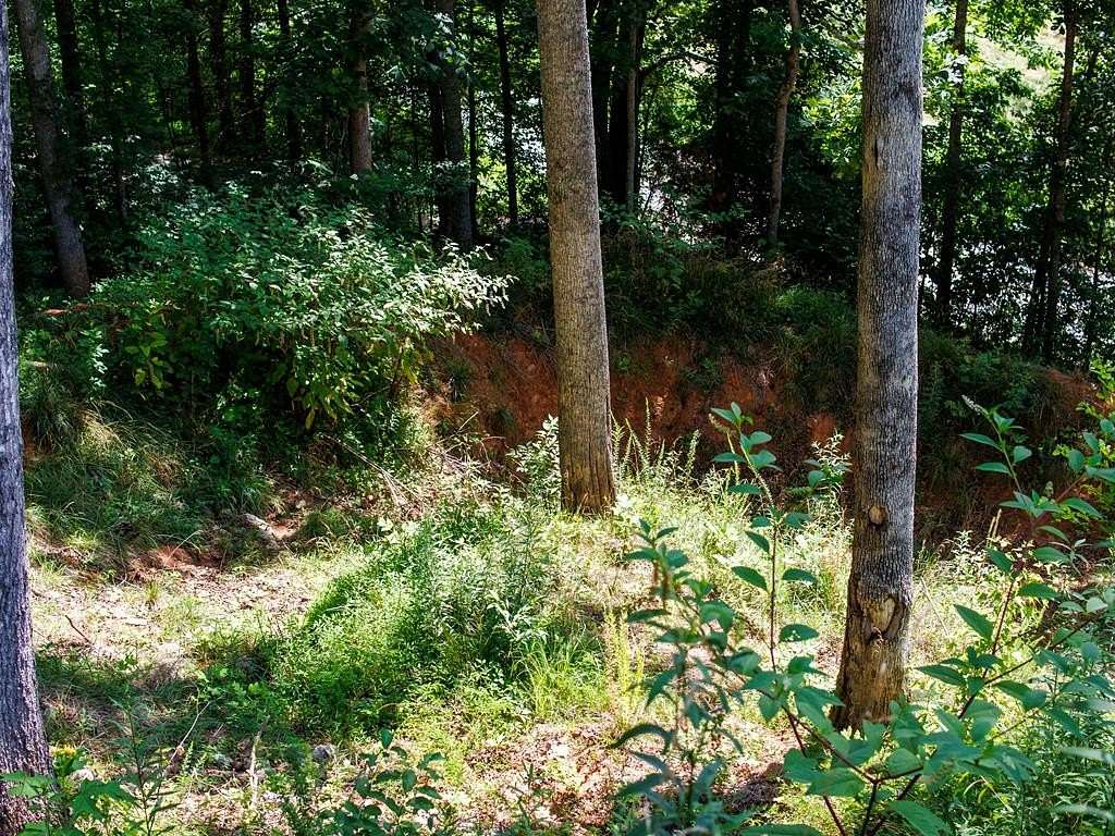 1.55 Acres of Land for Sale in Franklin Township, North Carolina