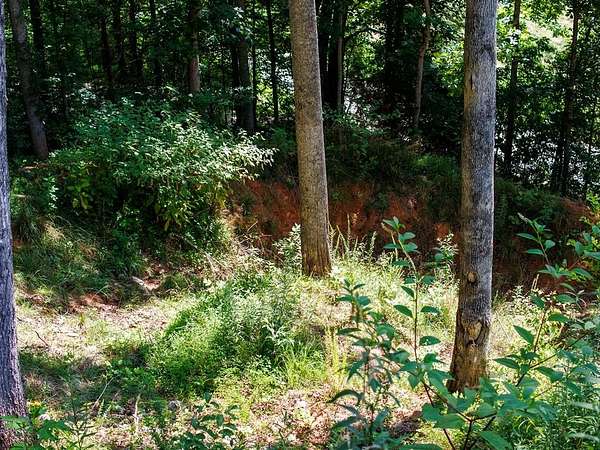 1.55 Acres of Land for Sale in Franklin, North Carolina