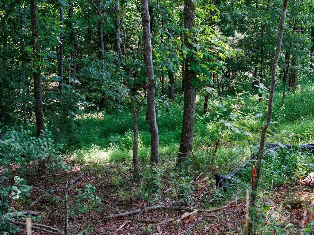 0.64 Acres of Land for Sale in Franklin Township, North Carolina