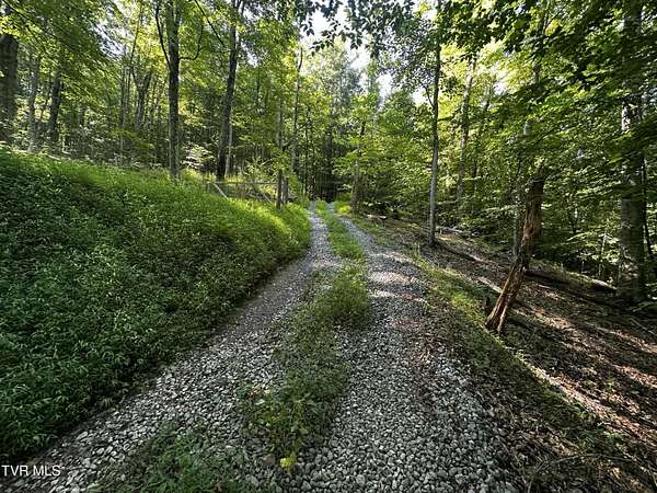 43.1 Acres of Recreational Land for Sale in Eidson, Tennessee