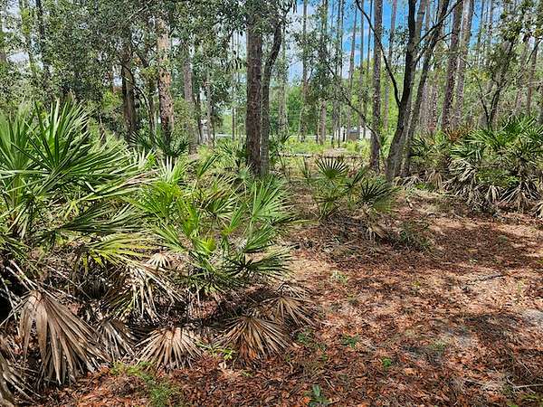 0.22 Acres of Residential Land for Sale in Interlachen, Florida