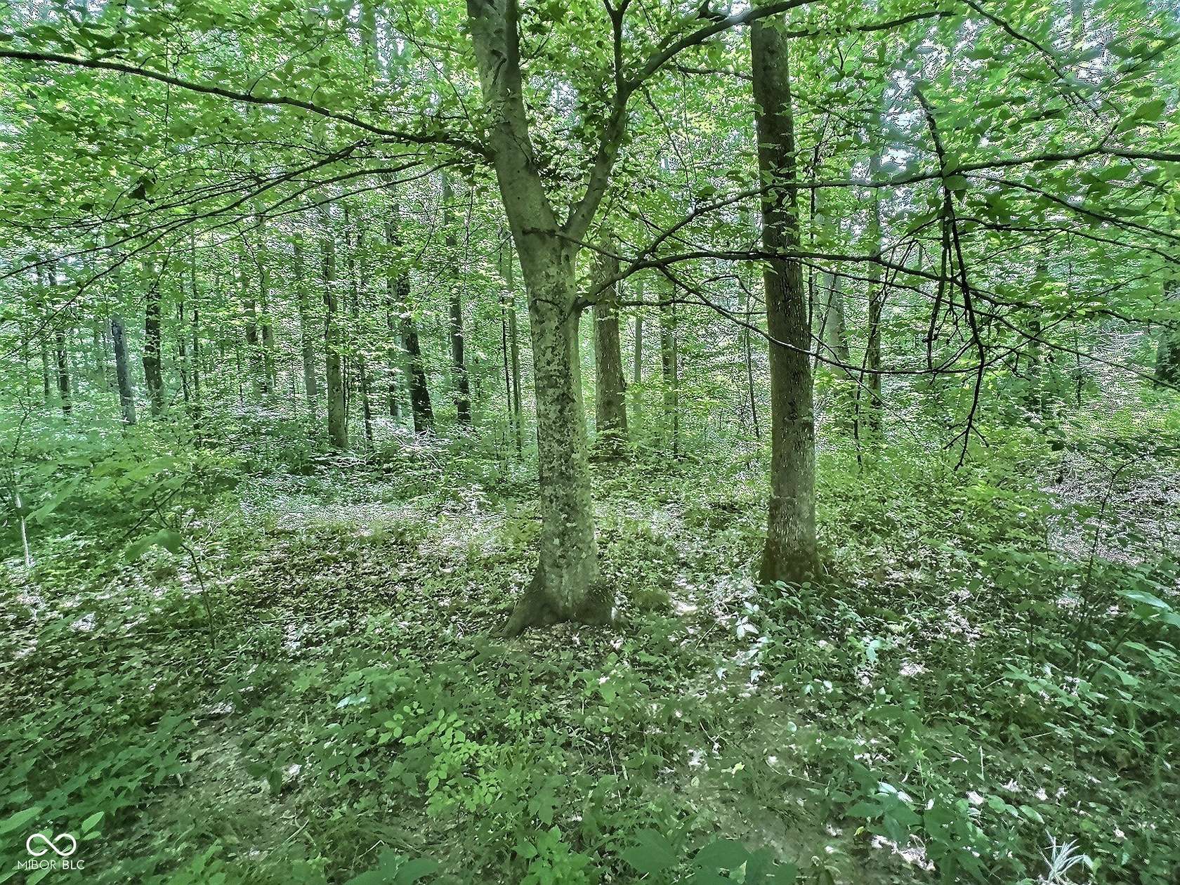 10 Acres of Recreational Land & Farm for Sale in Columbus, Indiana