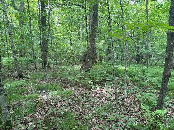 0.46 Acres of Land for Sale in Birchwood, Wisconsin
