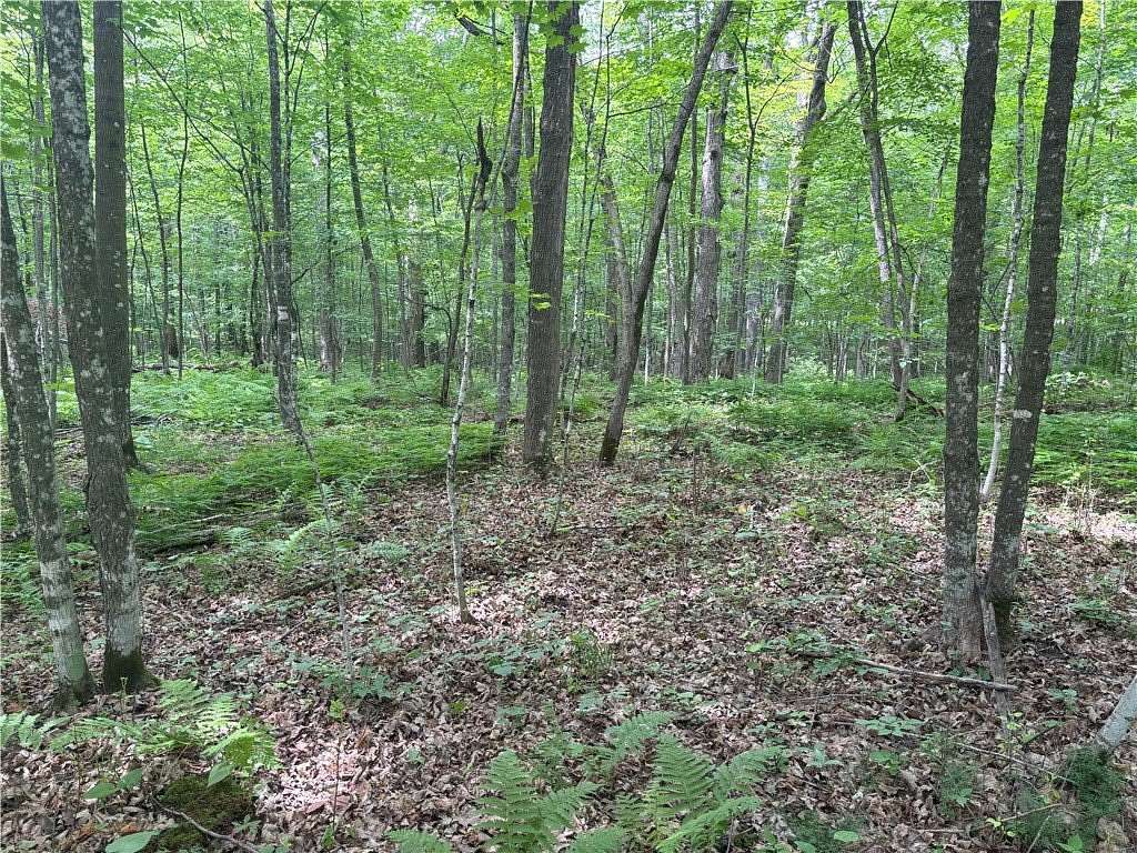 0.51 Acres of Land for Sale in Birchwood, Wisconsin