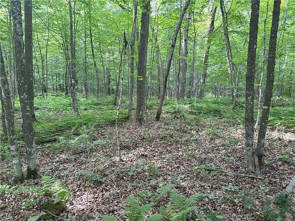 0.51 Acres of Land for Sale in Birchwood, Wisconsin