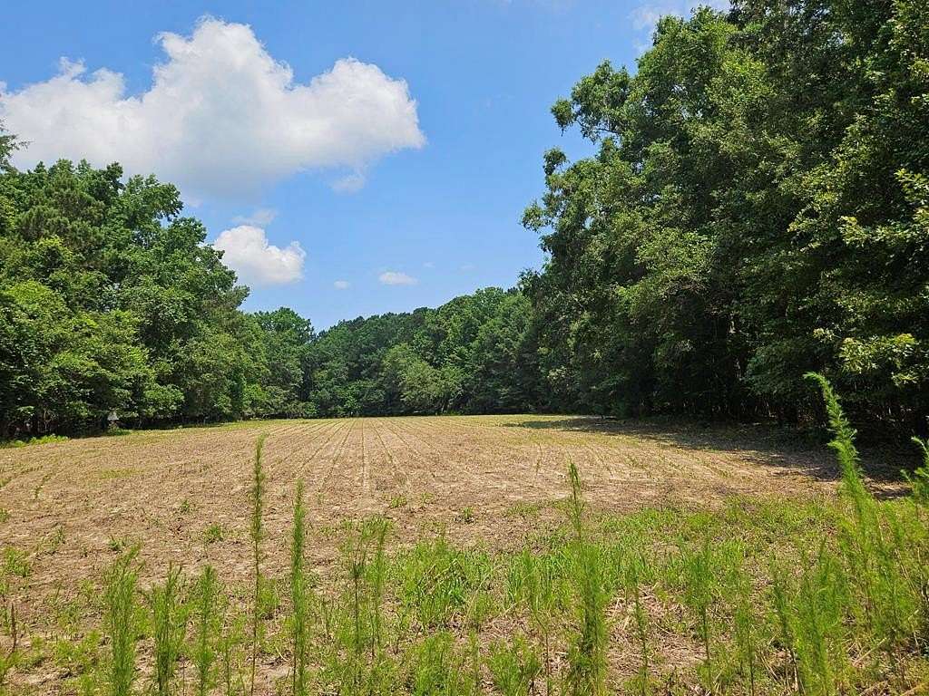 6.39 Acres of Residential Land for Sale in Summerton, South Carolina