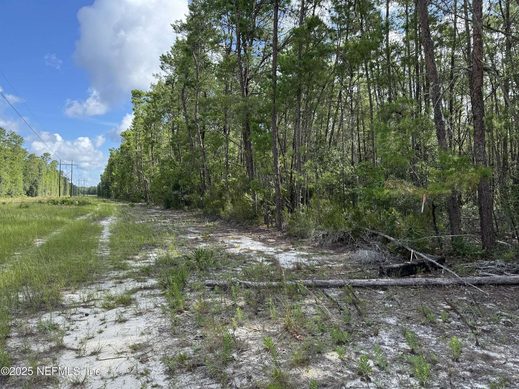 10 Acres of Land for Sale in Hawthorne, Florida
