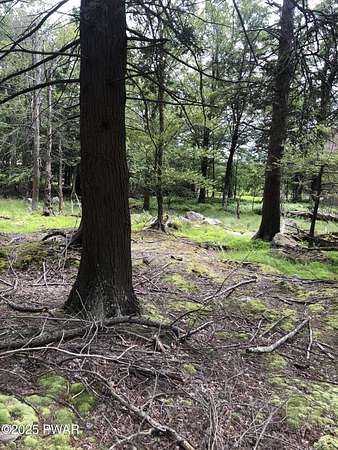 0.31 Acres of Residential Land for Sale in Gouldsboro, Pennsylvania