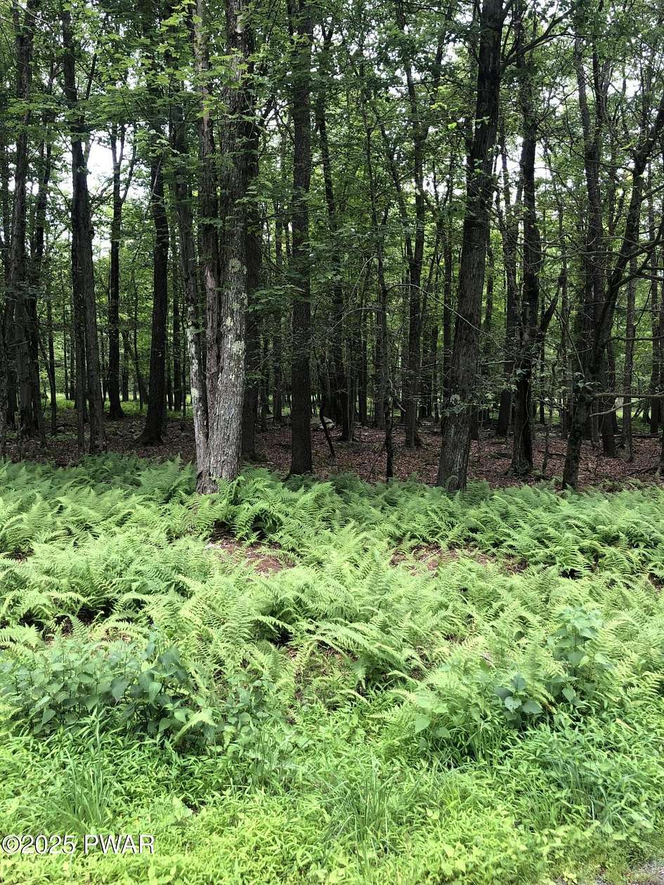 0.29 Acres of Residential Land for Sale in Newfoundland, Pennsylvania