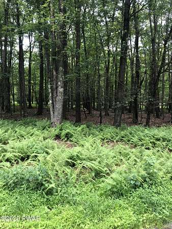 0.29 Acres of Residential Land for Sale in Newfoundland, Pennsylvania