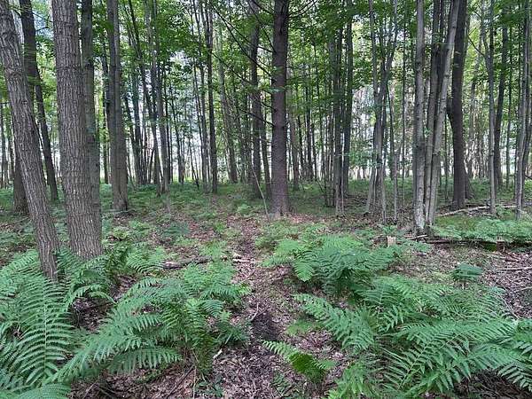 34.6 Acres of Recreational Land for Sale in Suring, Wisconsin