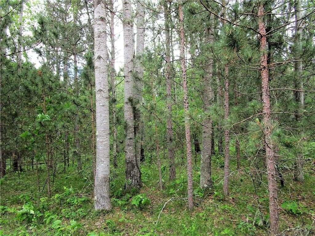 1 Acre of Land for Sale in Webster, Wisconsin
