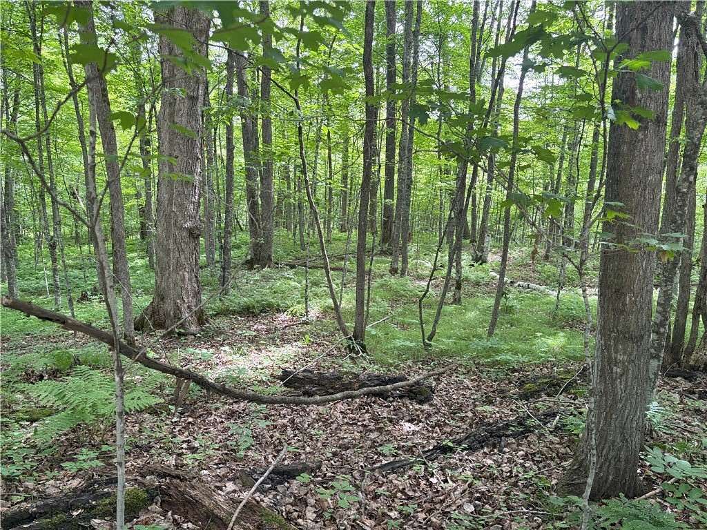 0.66 Acres of Land for Sale in Birchwood, Wisconsin