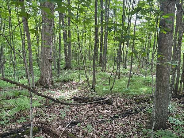 0.66 Acres of Land for Sale in Birchwood, Wisconsin