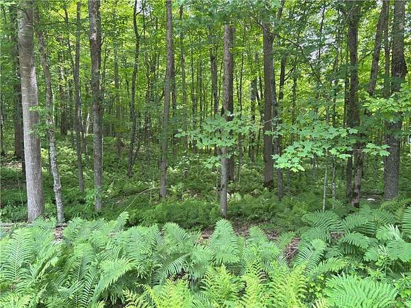 0.71 Acres of Land for Sale in Birchwood, Wisconsin