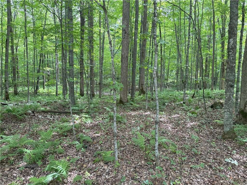 0.66 Acres of Land for Sale in Birchwood, Wisconsin