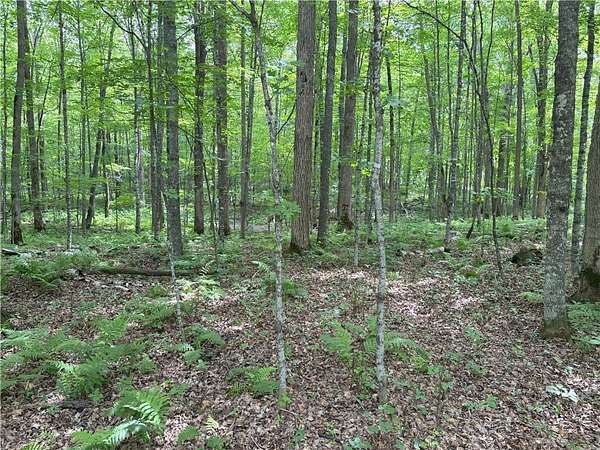 0.66 Acres of Land for Sale in Birchwood, Wisconsin
