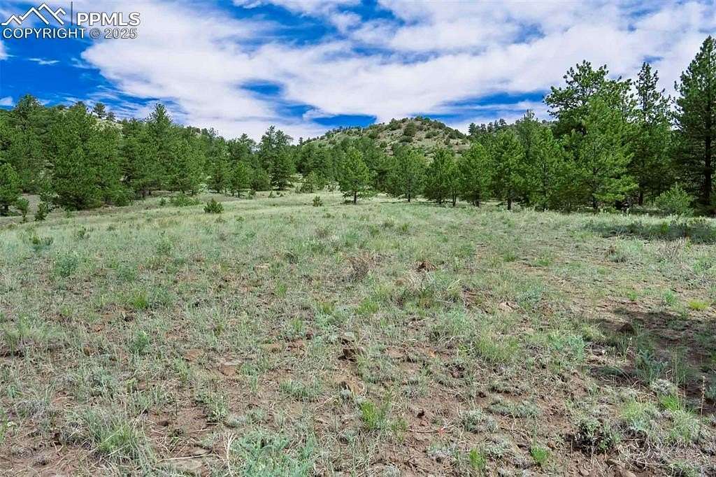 35 Acres of Recreational Land & Farm for Sale in Guffey, Colorado