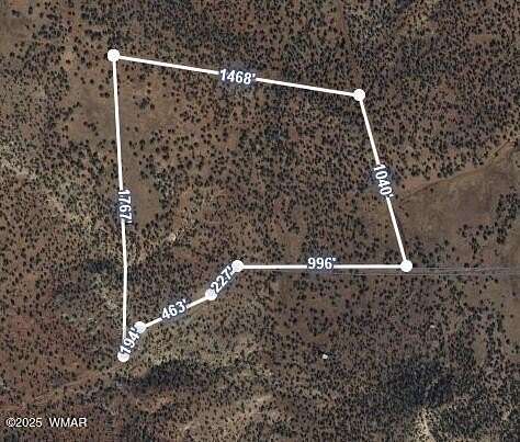 43.7 Acres of Recreational Land for Sale in Snowflake, Arizona